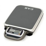 Portable Bench Scale