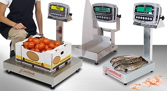 platform scale, bench scale